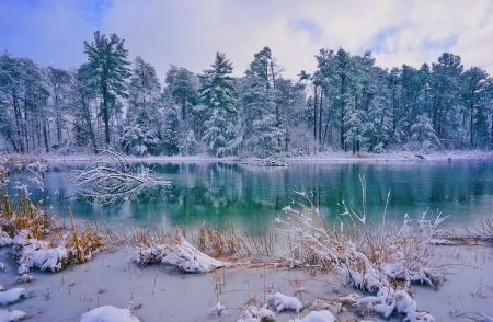 Snowy lake - ice, lake, trees, landscape, winter, forest, reflection, snow, beautiful, frost, frozen