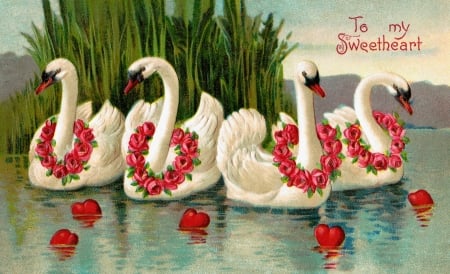 Happy Valentine's Day! - water, swan, flower, retro, white, vintage, red, valentine, lake, card