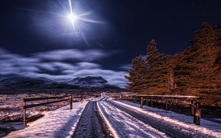 Winter Road - trees, landscape, snow, mountain, sun