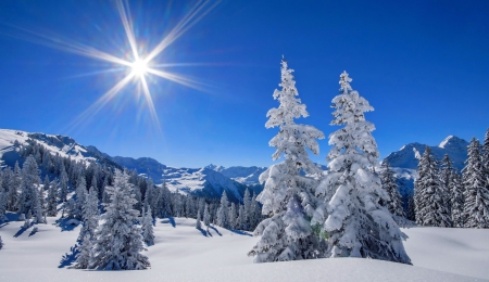 Winter landscape - trees, winter, beautiful, snow, landscape, mountain, glow, rays, clear, frost, sun, sky