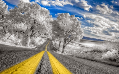 Winter Road - sky, landscape, clouds, trees, snow