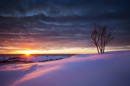 Lofotes Islands, Norway - sky, landscape, clouds, snow, sun, colors, tree, sea