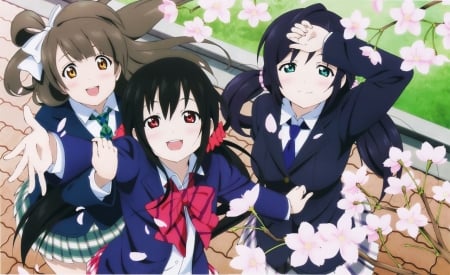 Love Live - Female, kawaii, Girls, Anime girls, Nozomi Tojo, Anime, Kotori Minami, Nico Yazawa, Love Live, cute, Cherry blossoms, School idol project