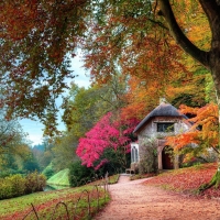 Church in Autumn Forest