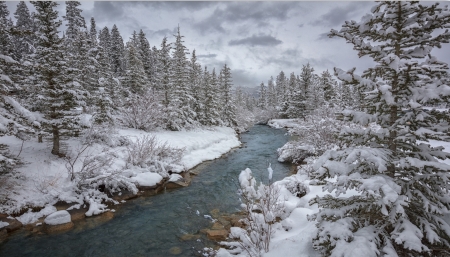 River in winter - snow, River, winter, nature