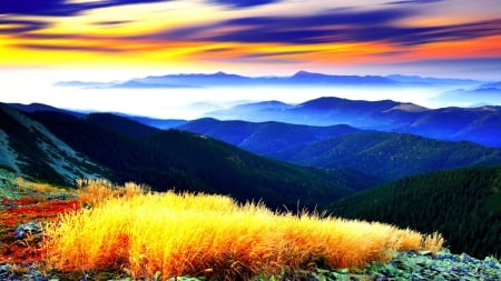 Mountains Meadow - clouds, trees, fog, landscape, meadow, rocky, nature, mountains, sky