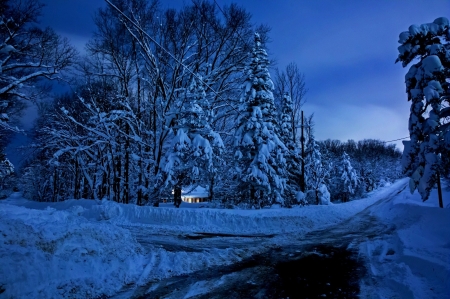 Winter in Forest - house, trees, snow, light