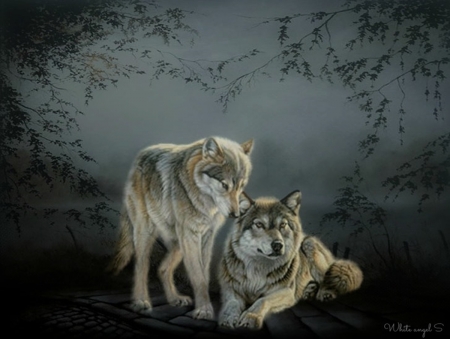 wolf couple - nature, blue, heart, wolfs, fantasy