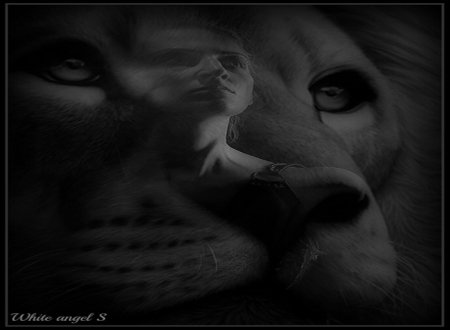 lion - black and white, fantasy, lion, lady