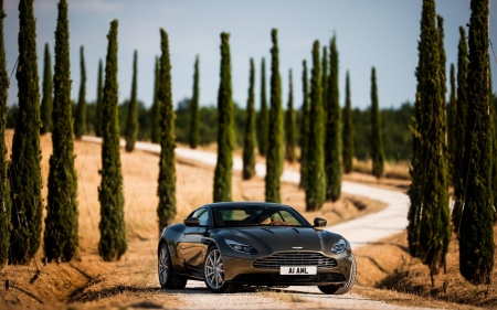 Aston Martin - fun, car, forest, cool, Aston Martin