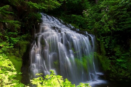 Cascading-Waterfall - nature, Waterfall, moss, Cascading, tree, rocks