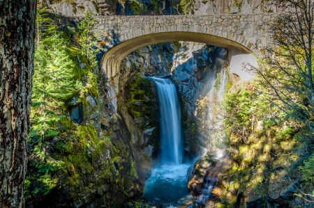 Falls - nature, tree, bridge, falls