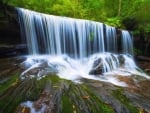 Forest Waterfall