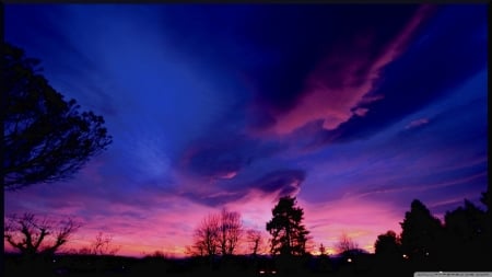 Amazing Skyscape - clouds, trees, nature, blue, violet, pink, sky