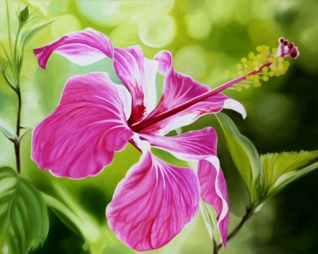 Pink Blossom - leaves, plant, flower, petals