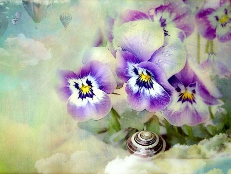 signs of Spring - blossoms, snail, petals, colors, garden, flower, pansies