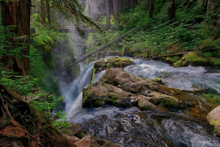 Waterfall - waterfall, rock, tree, nature