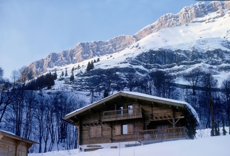 Cottage un Mountains - house, trees, snow, landscape