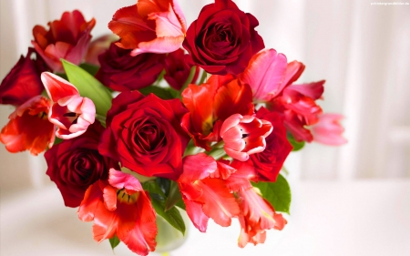 Happy Valentine's Day! - red, flower, rose, valentine, bouquet, tulip