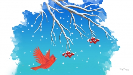 Snow Bird - berries, bird, Firefox Persona theme, mountain ash, winter, snow, tree