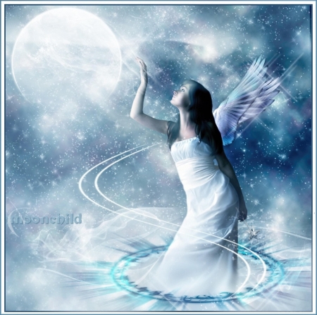 MOONCHILD - MOON, WHITE, WINGS, FAIRY, FEMALE, BLUE, STARS