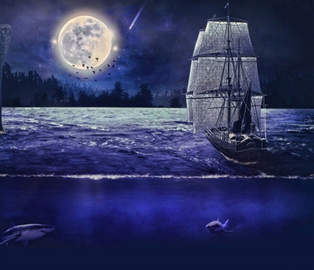 MOONLIGHT SAIL - BOAT, SKY, SAIL, SHARKS, BLUE, STARS, MOON, WAVES, OCEAN, NIGHT