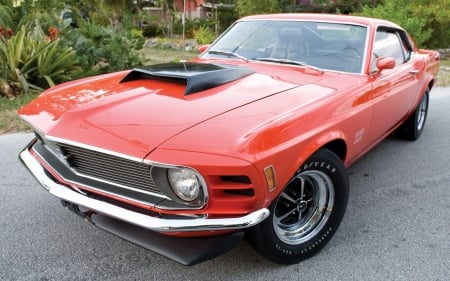 Ford Mustang BOSS 429 - Ford, muscle car, vintage, classic, 429, BOSS, Mustang