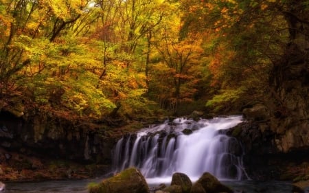 Autumn forest - forest, cool, waterfall, fun, nature, autumn