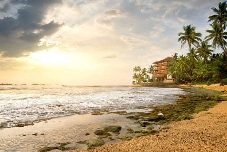 Beach in Sri Lanka - nature, beach, lanka, sri