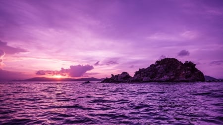 Purple View - Purple, nature, tree, sky