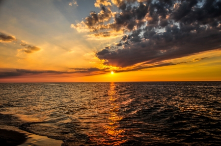 Sunset - water, tree, sunset, ocean, nature