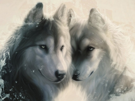 Wolf Couple - animal, wolfs, couple, snow