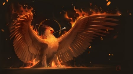 Phoenix - bird, phoenix, feather, orange, fantasy, fire, wings, pasare, gaudi buendia, art, luminos