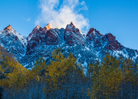 Mountain - rock, tree, nature, mountain, snow