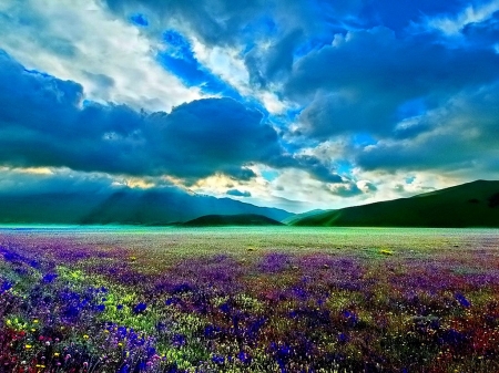 Field - landscape, field, meadow, sky