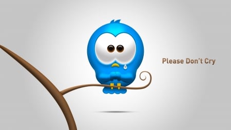 Don't cry - owl, bird, mood, psasre, blue, card, cry