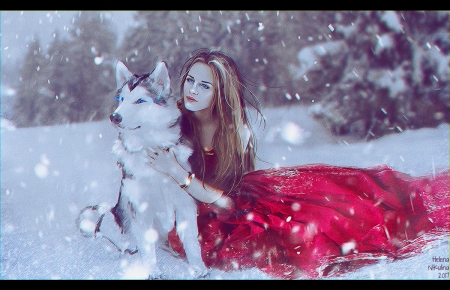 Inseparable Friends - abstract, winter, red, wolf