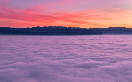 Foggy sunset - nature, sky, ocean, sunset