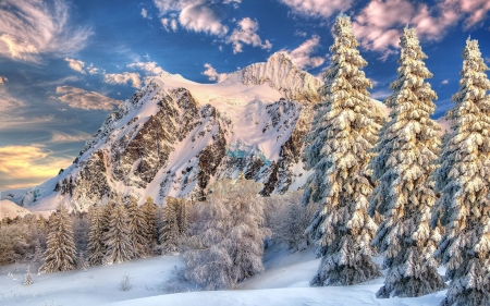 cold winter mountain - fun, winter, nature, forest, cool, mountain