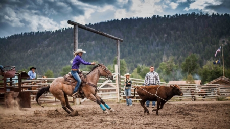 Roping At The Rodeo.. - women, girls, fun, rope, female, cowgirl, hats, western, style, boots, outdoors, rodeo, cows, horse, cowboy, blondes, ranch