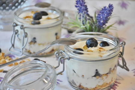 Blueberry Yoghurt