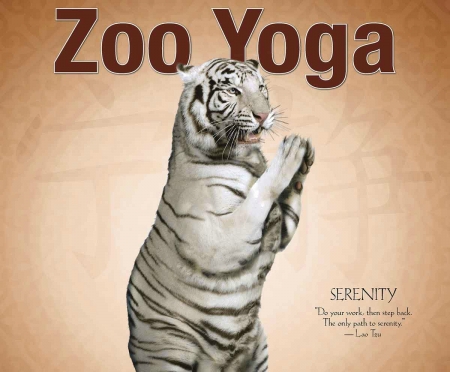 Yoga tiger