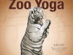 Yoga tiger