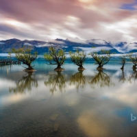 Lake Wakatipu near Queenstown New Zealand