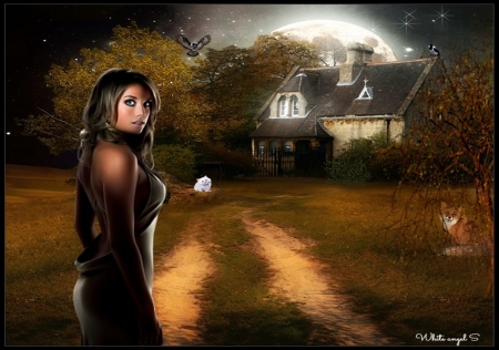 home - fantasy, lady, fox, cat