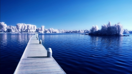 Winter - winter, tree, footpath, river