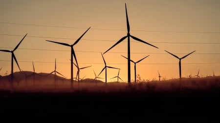 Wind Farm - wind farm, clean, modern, architecture, energy, wind