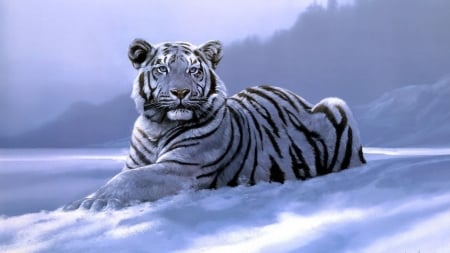 Siberian tiger - white, art, snow, winter, animal, tiger, siberian