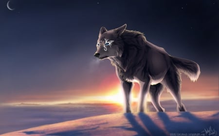 Fantasy Wolf - fantasy, animal, wolf, snow, sun