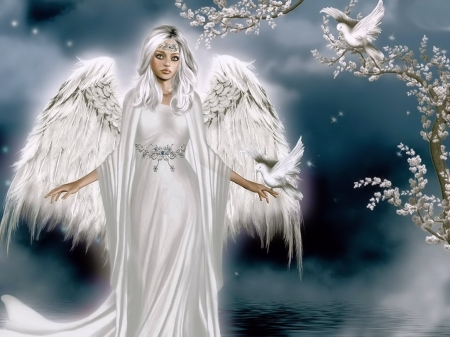 Pretty Angel - pretty, fantasy, angel, dove